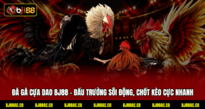 Đá Gà Cựa Dao BJ88 - Đấu Trường Sôi Động, Chốt Kèo Cực Nhanh