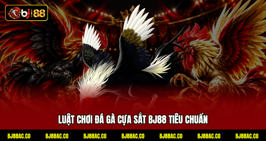 Đá Gà Cựa Sắt BJ88 - Đấu Trường Thomo Nhận Thưởng Thần Tốc 1 Luật chơi đá gà cựa sắt BJ88 tiêu chuẩn