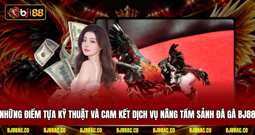 Những điểm tựa kỹ thuật và cam kết dịch vụ nâng tầm sảnh đá gà BJ88