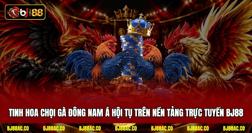 Tinh hoa chọi gà Đông Nam Á hội tụ trên nền tảng trực tuyến BJ88